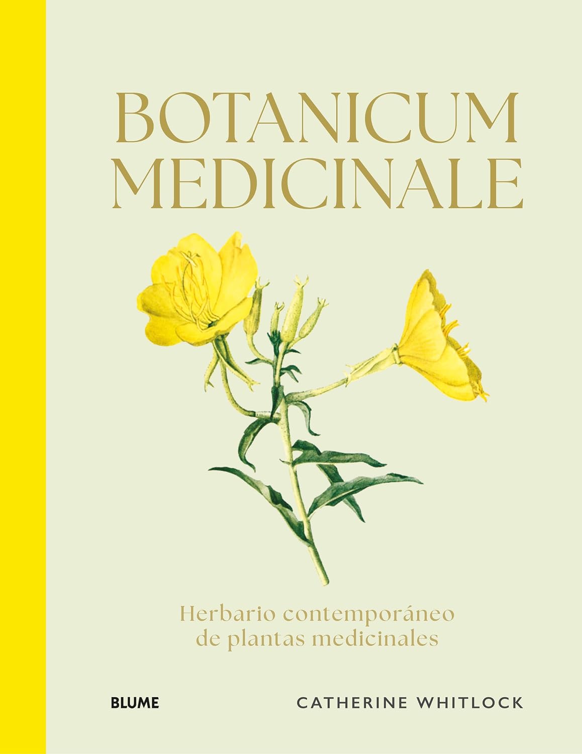 Botanicum Medicinale: Herbario contemporáneo de plantas medicinales (Spanish Edition)