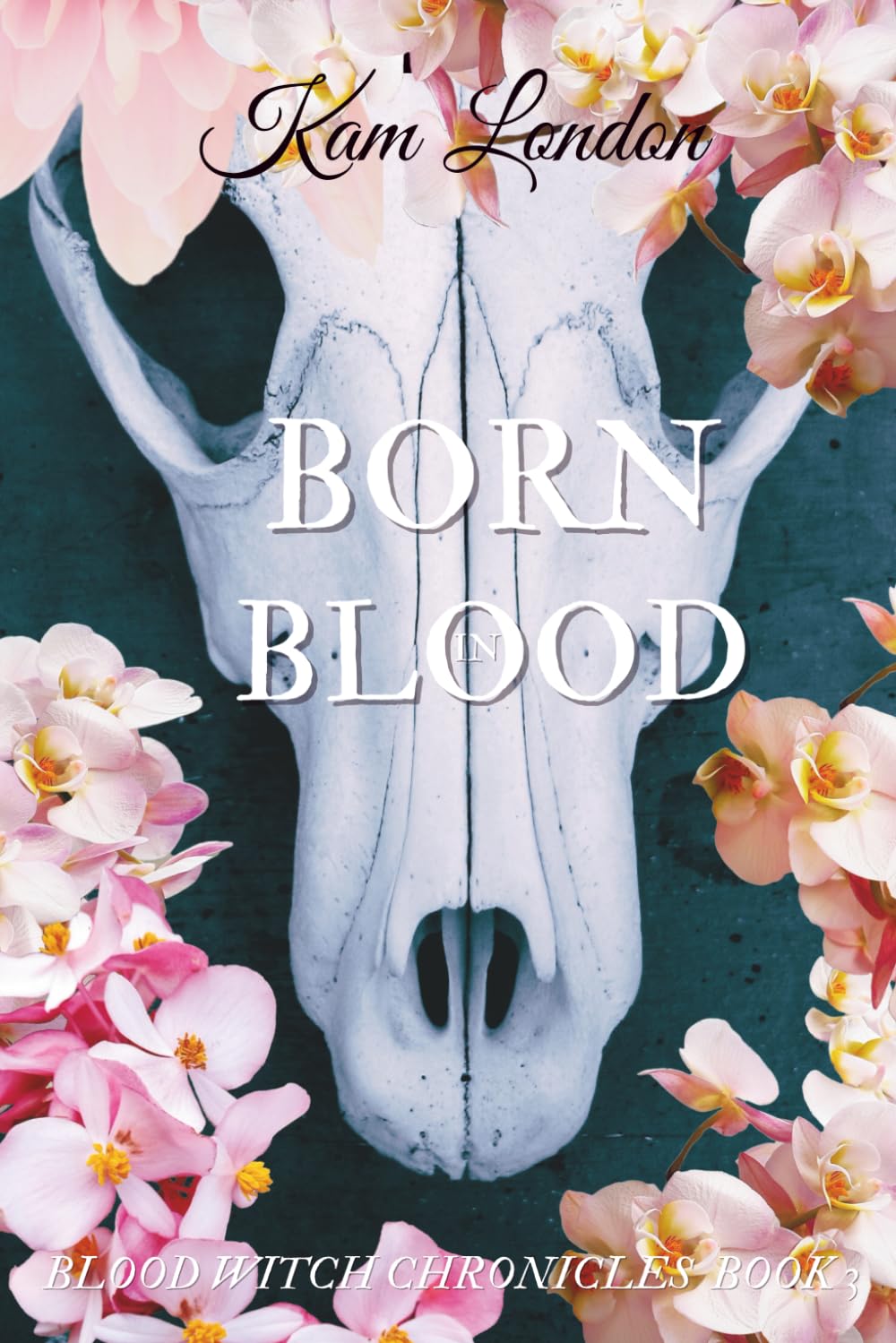 Born in Blood (Blood Witch Chronicles)