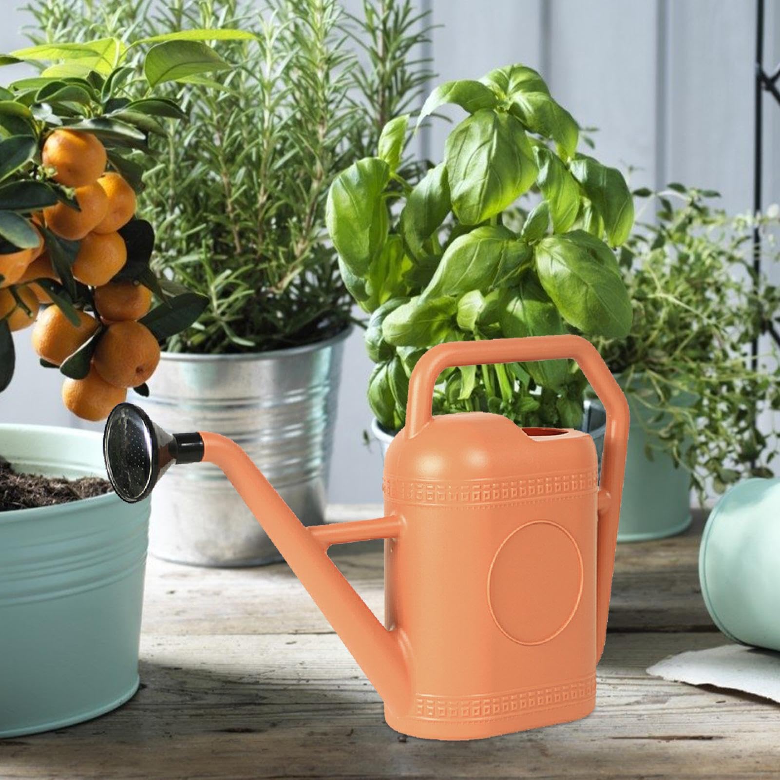 Regadera para plantas de interior, regadera gruesa para plantas de interior, pequeñas latas de riego para plantas de interior, suculentas y flores, boquilla larga, 5 litros | interior, pequeñas latas de riego para plantas de interior, suculentas y flores,