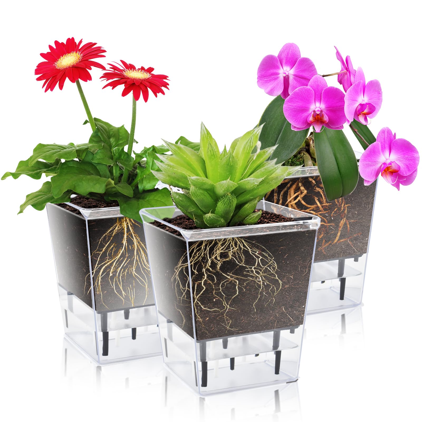 Josteve Vasi per piante autoirriganti per interni, 21/13,5 cm, confezione da 2 vasi da fiori in plastica per orchidee, piante da appartamento, violette africane, fioriera visibile a livello dell'acqua