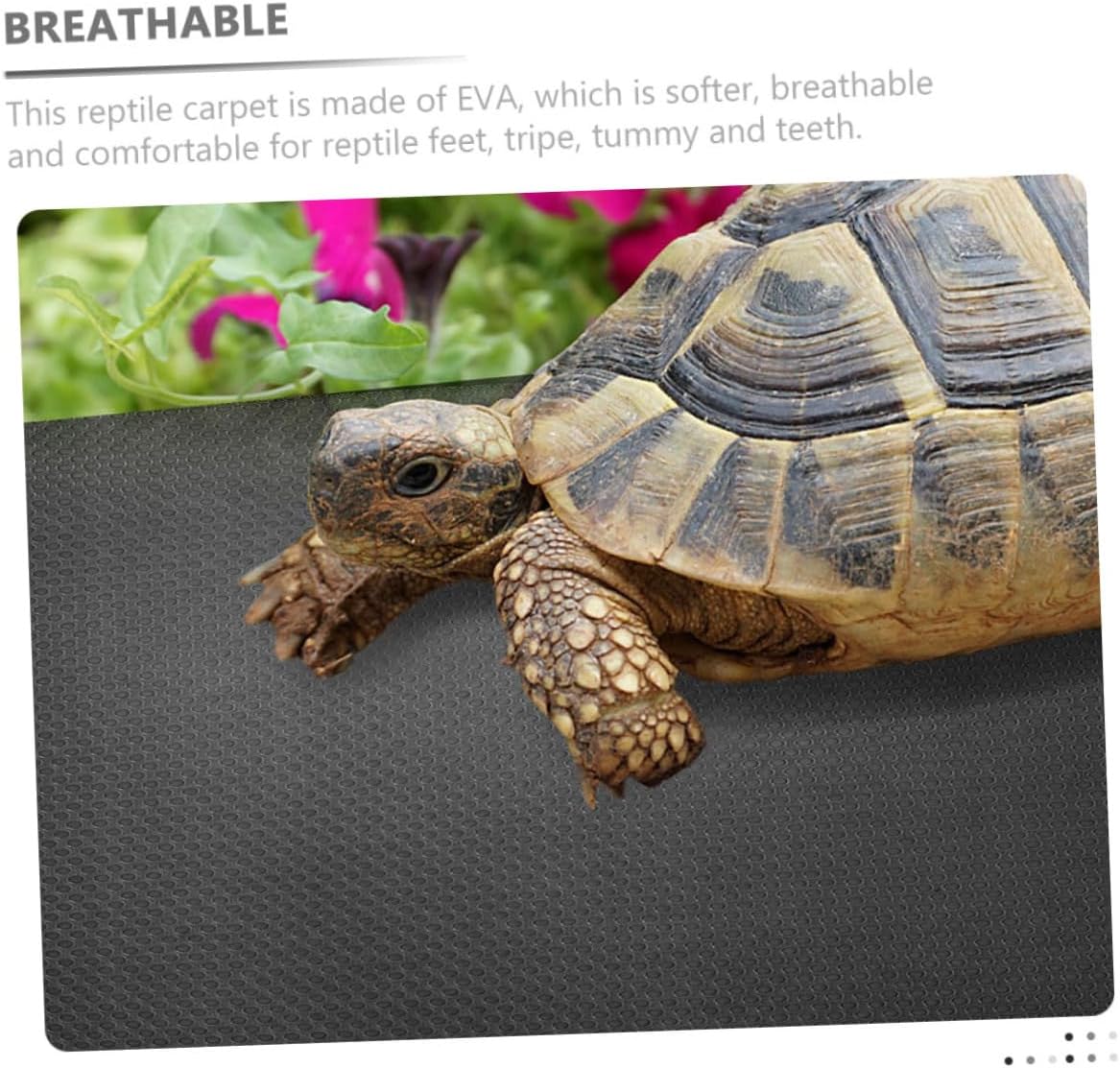 Reptile Carpet Substrate for Bearded Dragon Gecko Snake and Tortoise Non-Slip Easy to Clean 2-Piece Set for Reptile Tanks and Terrariums