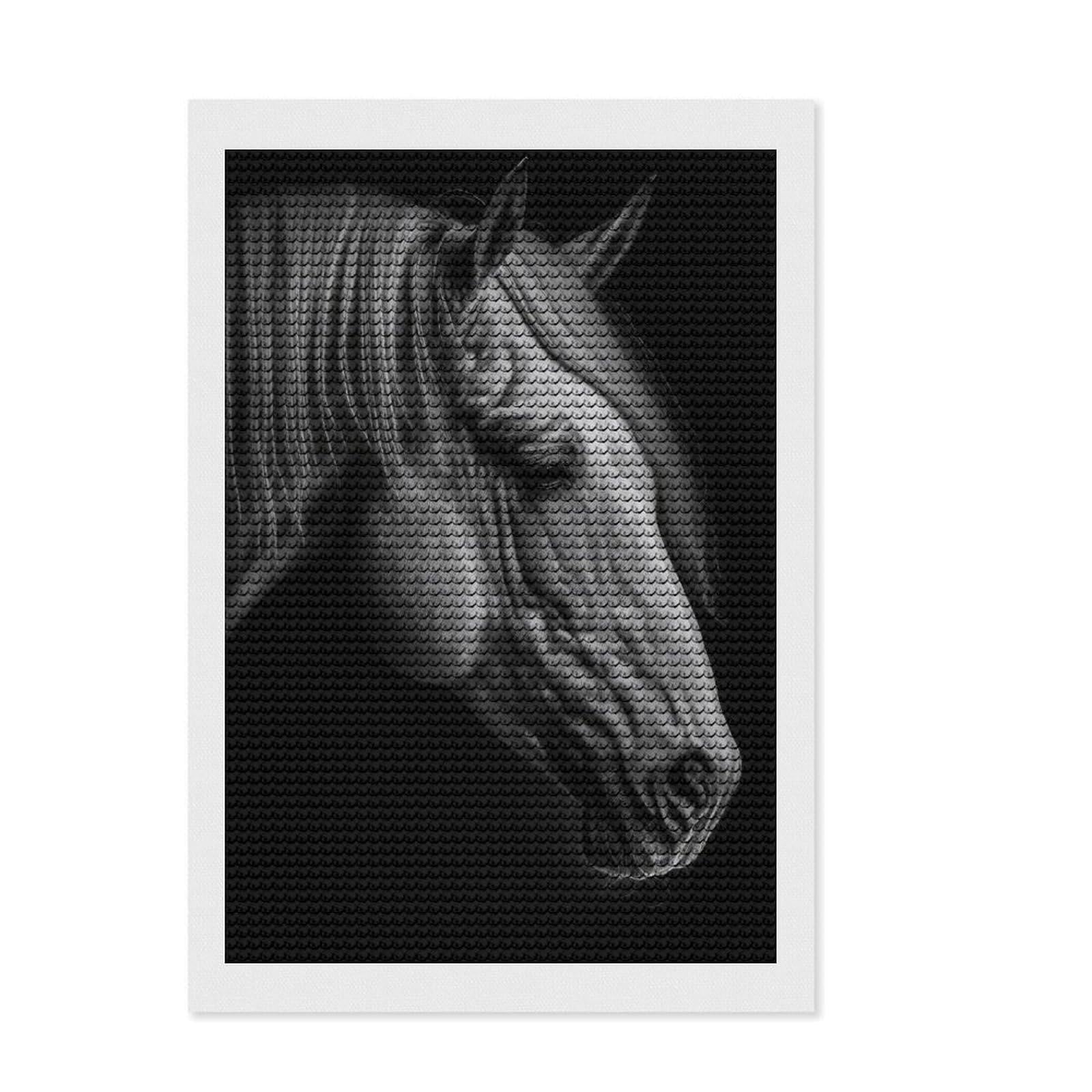 Junmoney Thoughtful Horse DIY Diamond Art Canvas Kit 8"x12", for Teens, Pleasing Wall Art Project, Aesthetic Room Decor, Christmas Gift