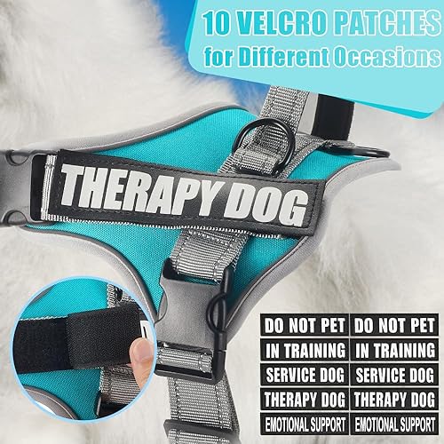 Miniatura 7 de Juego de arnés y correa para perro, chaleco reflectante de servicio para perro en entrenamiento con 10 parches, 3 anillos de terapia de apoyo