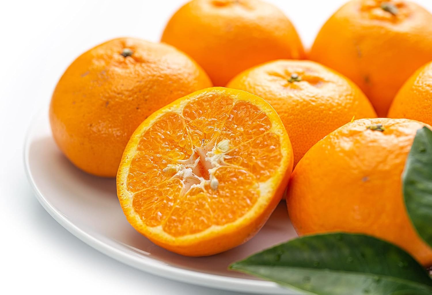 うめ海鮮 愛媛県産 訳あり はるみ みかん 3kg 糖度11度以上 ハルミ ミカン 愛媛みかん 甘い フルーツ 果物 くだもの お取り寄せグルメランキング 蜜柑 みかん果物 旬の果物 温州みかん みかん通販 柑橘類 うめ海鮮 愛媛県産 訳あり はるみ みかん 3kg 糖度11度以上 ハルミ ミカン 愛媛みかん 甘い フルーツ 果物 くだもの お取り寄せグルメランキング 蜜柑 みかん果物 旬の果物 温州みかん みかん通販 柑橘類