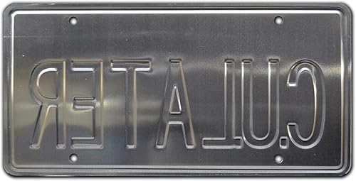 Miniatura 2 de One Crazy Summer  C U Later  Placa de matrícula estampada de metal