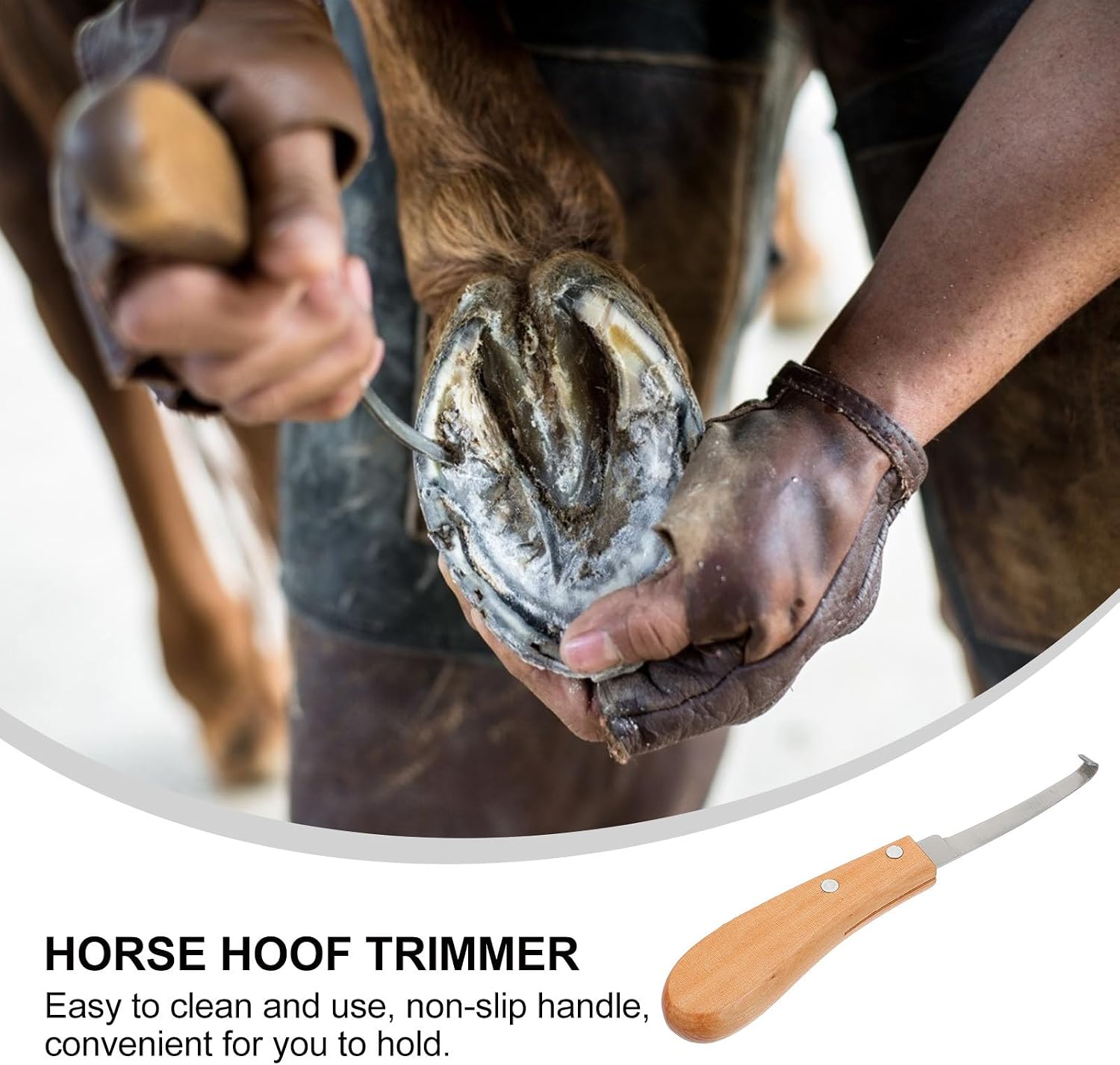 Right-Handed Stainless Steel Horseshoe Cutting Tool and Horse Hoof Trimmer with Handle for Cattle and Donkey Hoof Repair Farrier Supplies Random Color