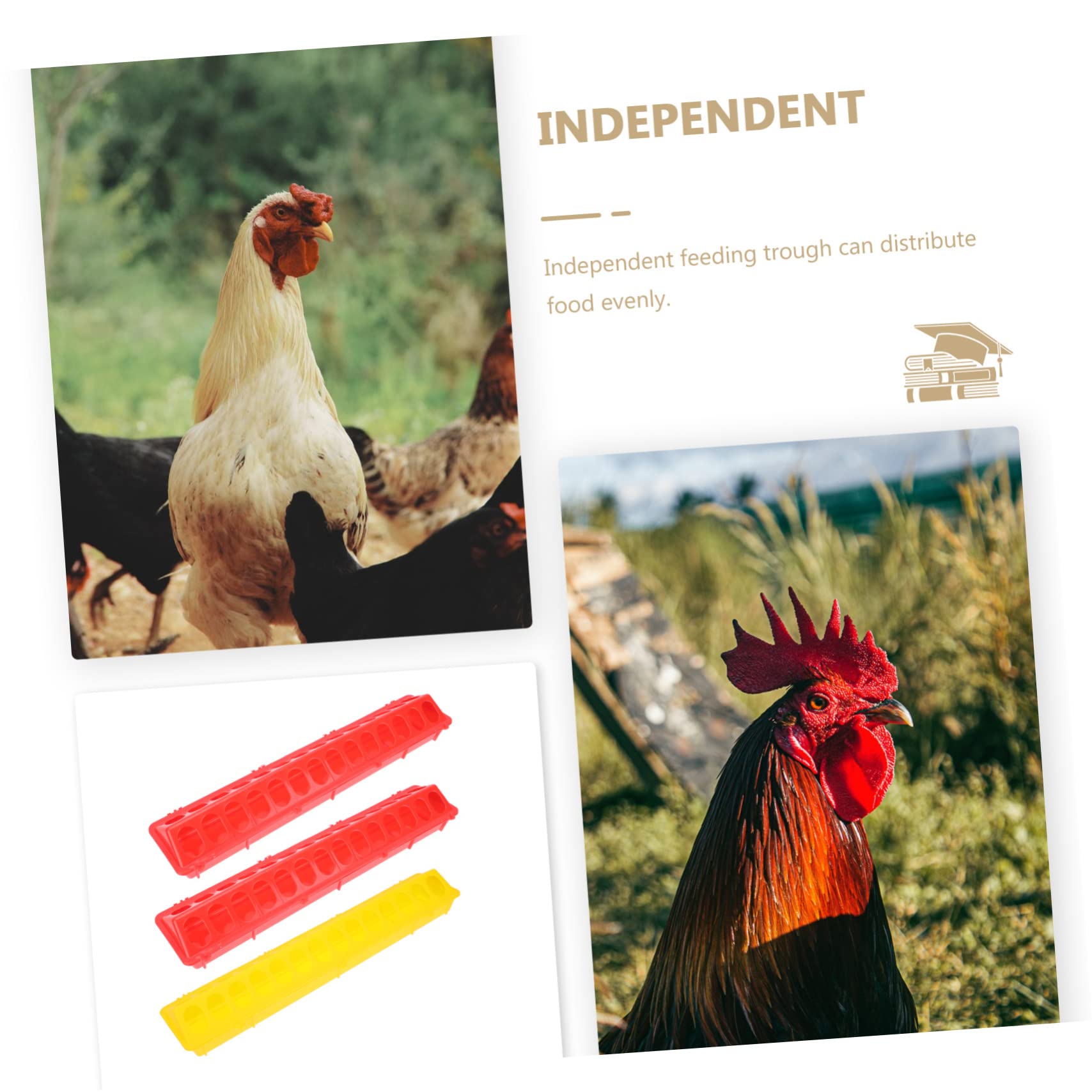 Levemolo 3 Pcs Pigeon Feeding Containers Lightweight and Easy to Troughs Safe Material for Pigeon Cage Use Food and Water Holder