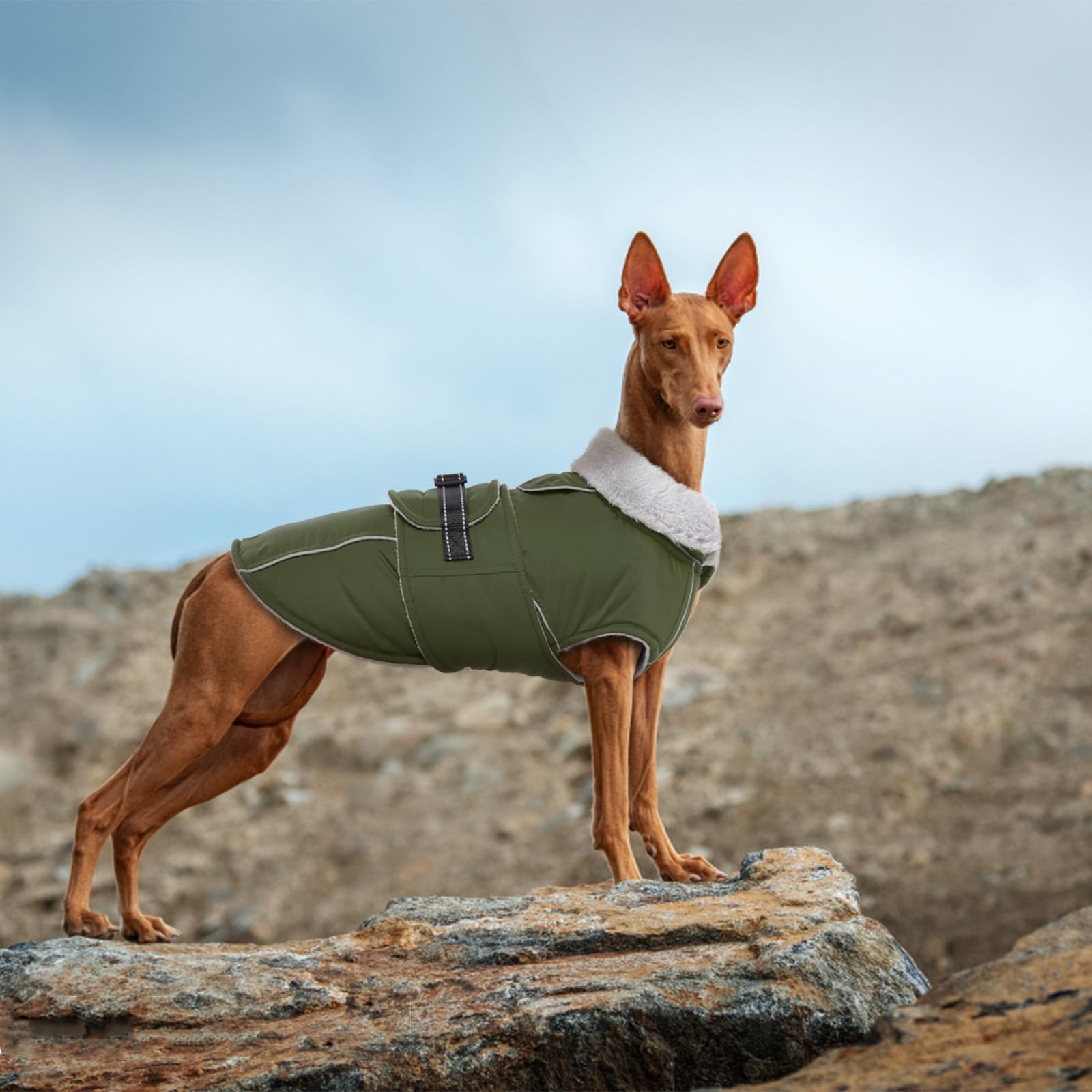 Lelepet Abrigos y chaquetas cálidos para perros, abrigo de invierno impermeable para clima frío, chaqueta acolchada reflectante para perro, abrigo para mascotas con forro polar con agujero para arnés