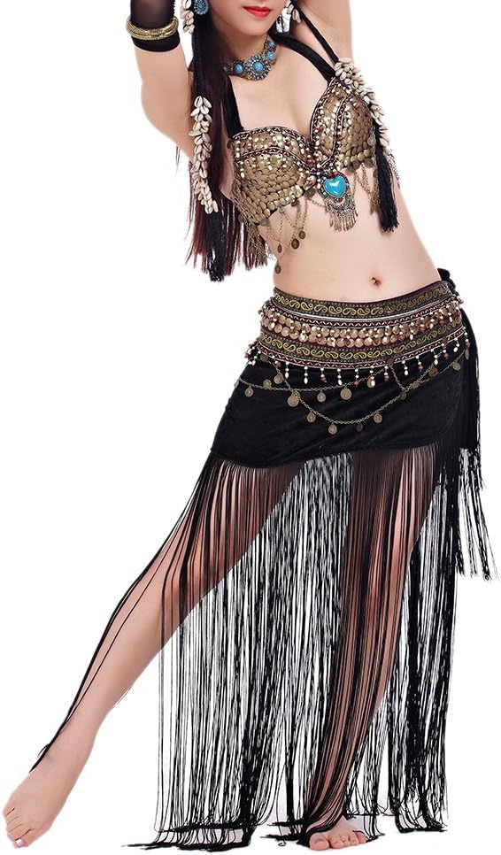 Belly Dance Tribal Gypsy Costume, Belly Dance Bra & Skirt, Gift Idea