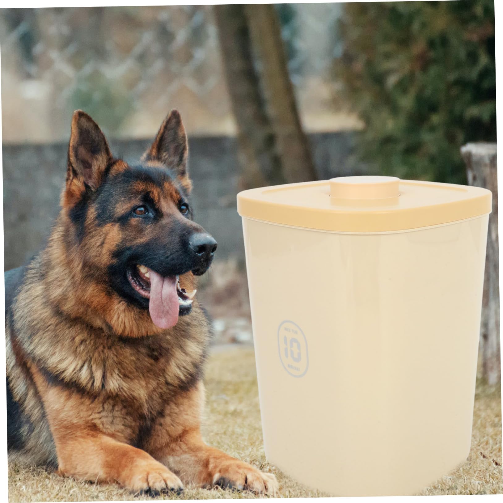 BESPORTBLE Cubo De Almacenamiento De Comida Para Perros y Gatos Sellado Al Vacío Para Granos y