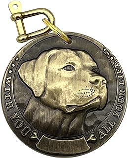 Vintage Copper Personalized Dog Tags, Custom Labrador Retriever Pet IDs With Three-Dimensional Relief Lettering