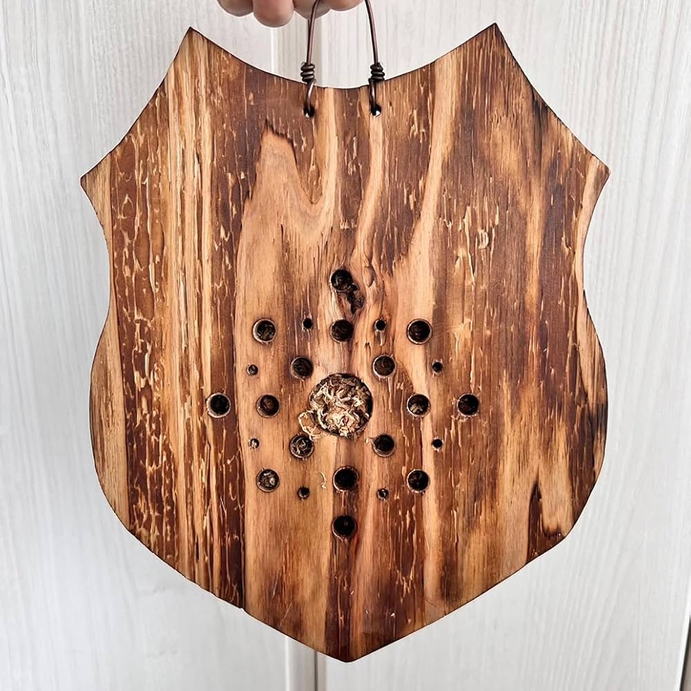 ウィリンキー　ビカクシダ　壁掛観葉植物 Amazon｜【おしゃれな壁掛け観葉植物】ビカクシダ ウィリンキー