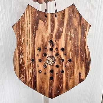 71FN9J4tb3L._AC_UF350, 71FN9J4tb3L._AC_UF350,