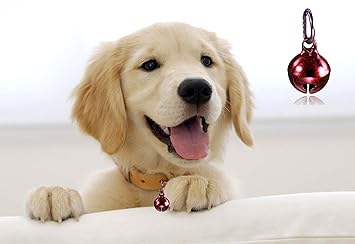 Sage Square Bell Collar Tag Cum Pendant for Dog / Puppy / Kitten / Cat (Red)