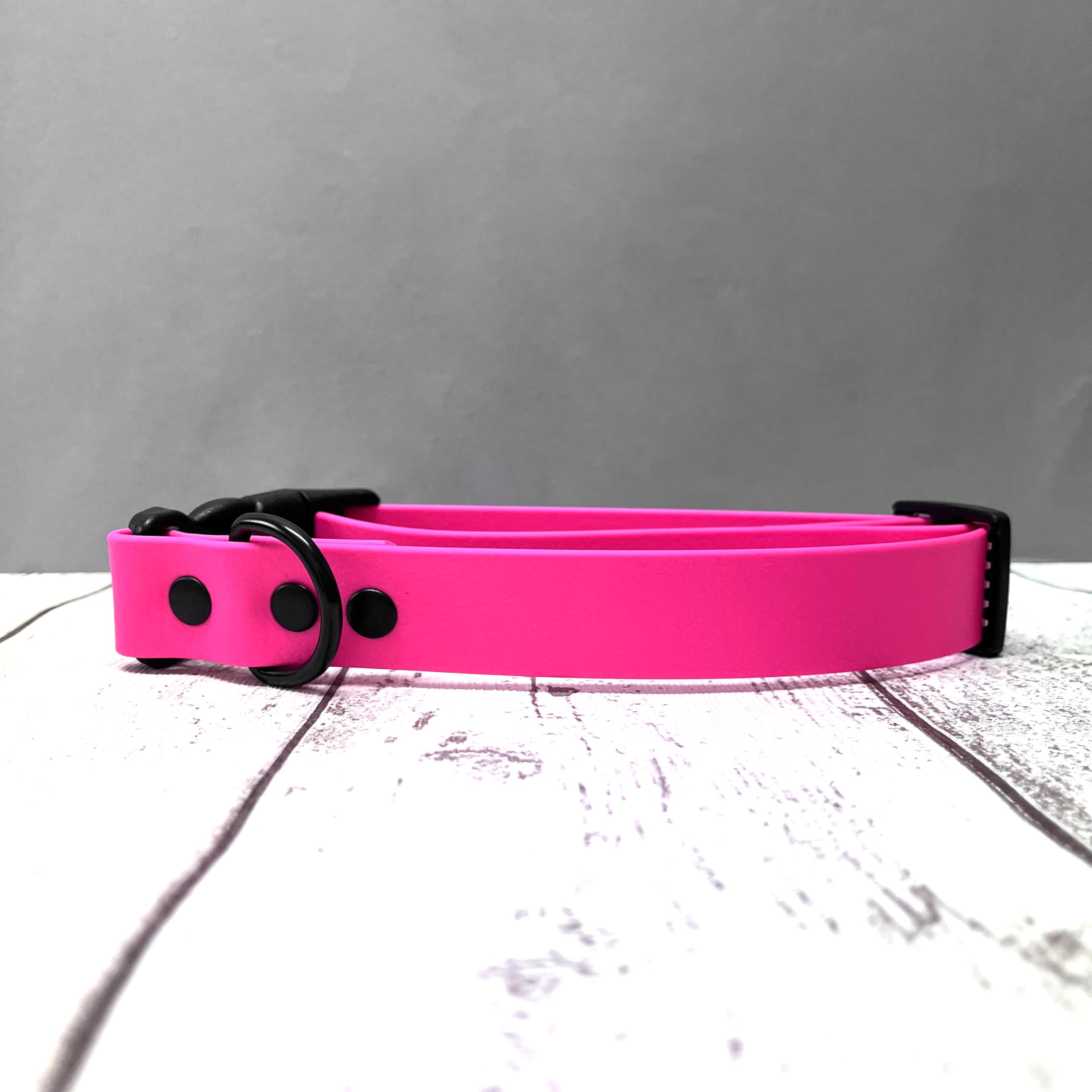 Genuine Biothane Waterproof Dog Collar with Quick Release Clasp
