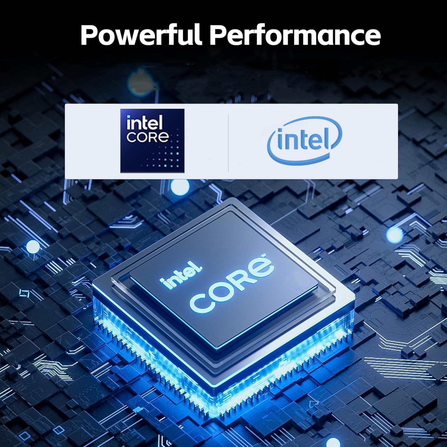 Amazon.com: HP 15.6 FHD Business Laptop Computer with Office 365