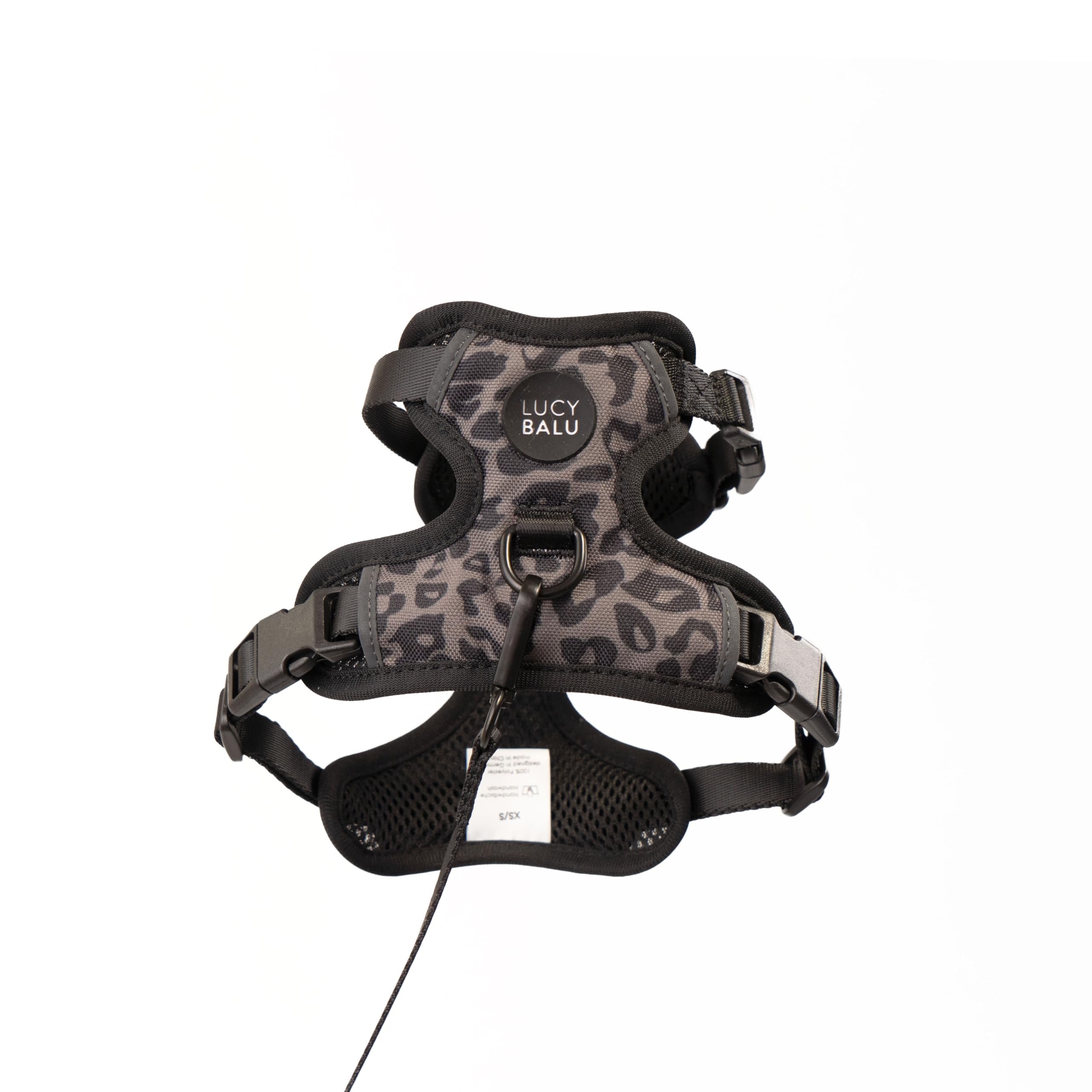LucyBalu® Explorer Katzengeschirr mit Leine I Brustgeschirr-Set mit Fach für AirTag I gepolstert, atmungsaktiv & verstellbar I 1,5 m Katzenleine I Leo XS/S