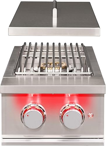 TrueFlame Quemador de doble cara de acero inoxidable incorporado - TFSB2-NG