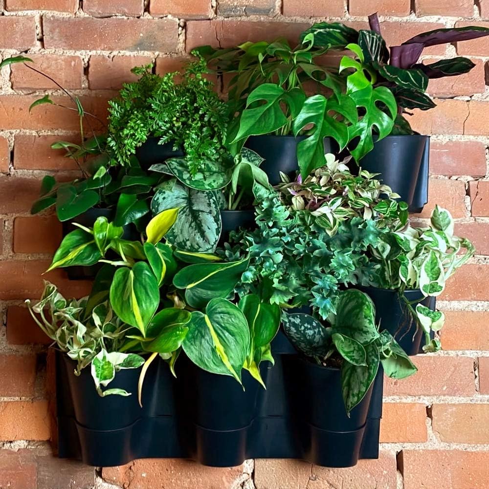 Prosperplast Cascade Wall Plastic Planter in Anthracite Colour 67 (L) x 17.7 (W) x 57 (H) cm, Pequeño