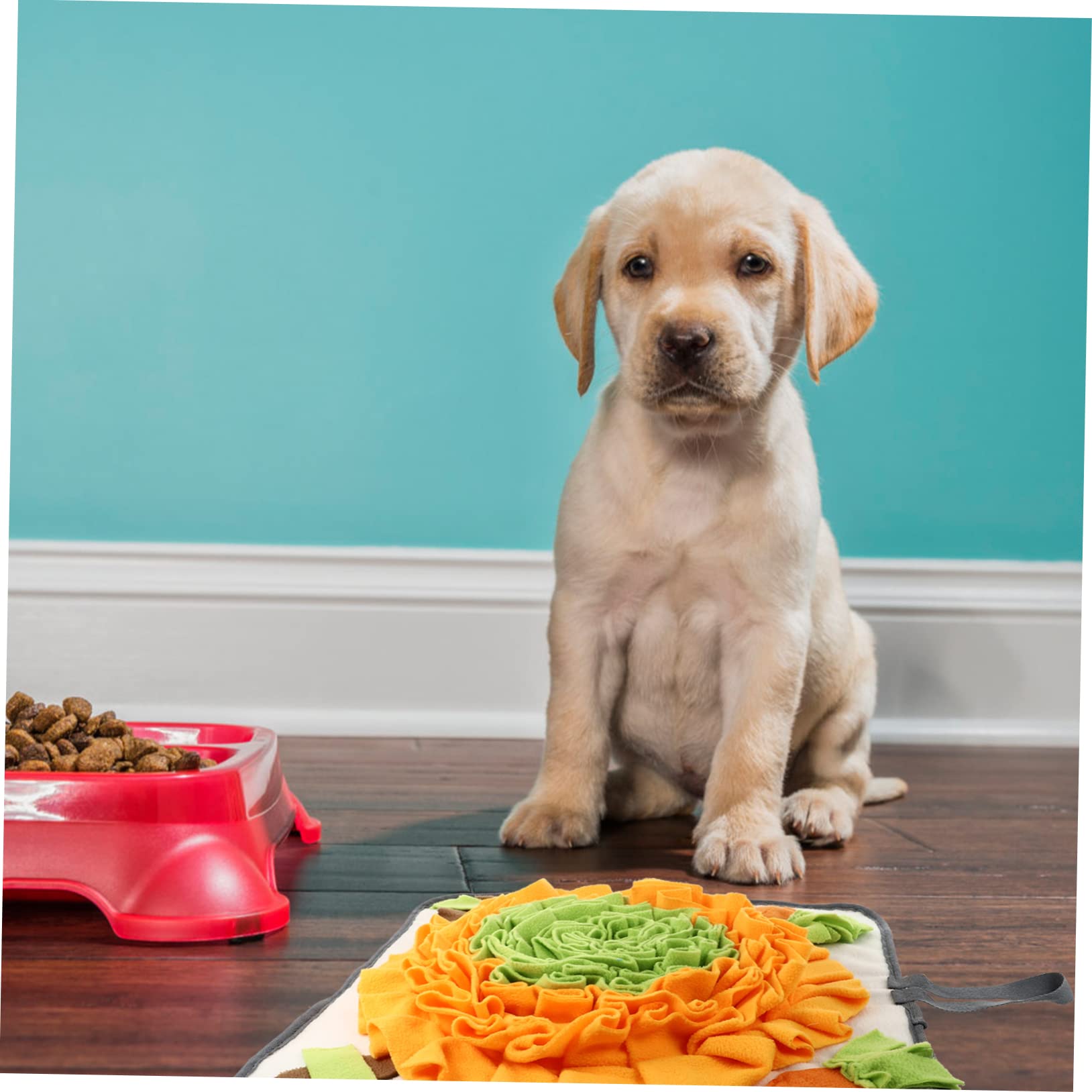 Tappetino Cani Tappetino Lavabile Per Addestramento Giocattolo Interattivo Nascondino Cibo Per Cuccioli E Cani Addestrare L'olfatto