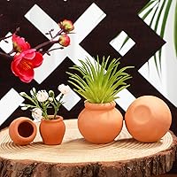 Vista 5 de Juego de 6 mini macetas de terracota para suculentas: macetas pequeñas de arcilla para plantas, macetas duraderas