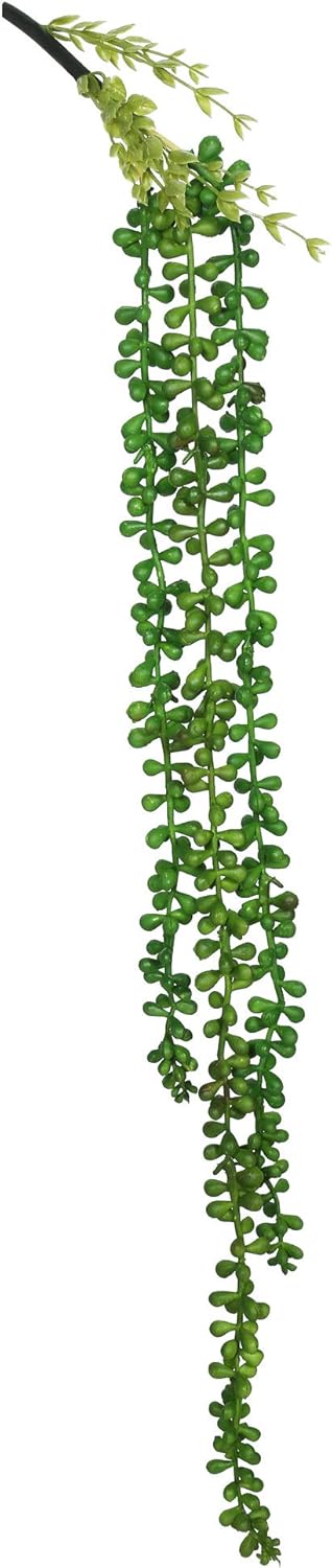 Vickerman Everyday 27" Artificial Green String of Pearls 3 Pack - Faux Indoor Decorative Plant - Greenery for Home Or Office Decor - Maintenance Free