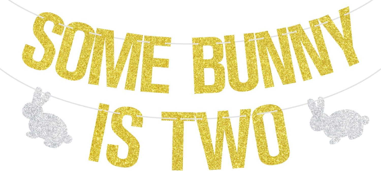Some Bunny is Two Banner, Easter 2nd Birthday Banner, Spring Easter Bunny Theme Baby 2nd Birthday Party Decorations