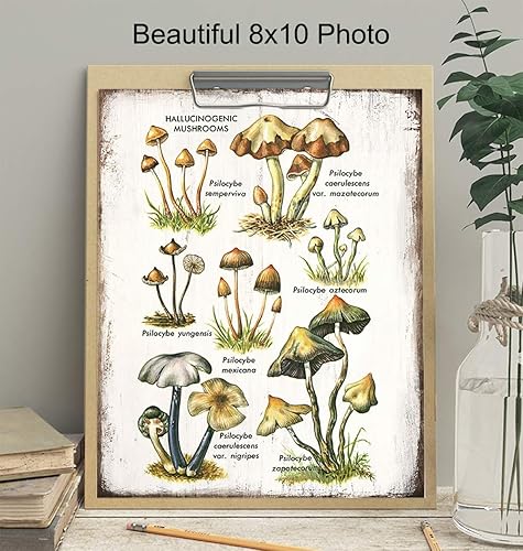 Miniatura 3 de Arte psicodélico alucinógeno medicinal de hongos mágicos botánicos – Esporas de Psilocibina Trippy Decoración de pared – Decoración psicodélica de