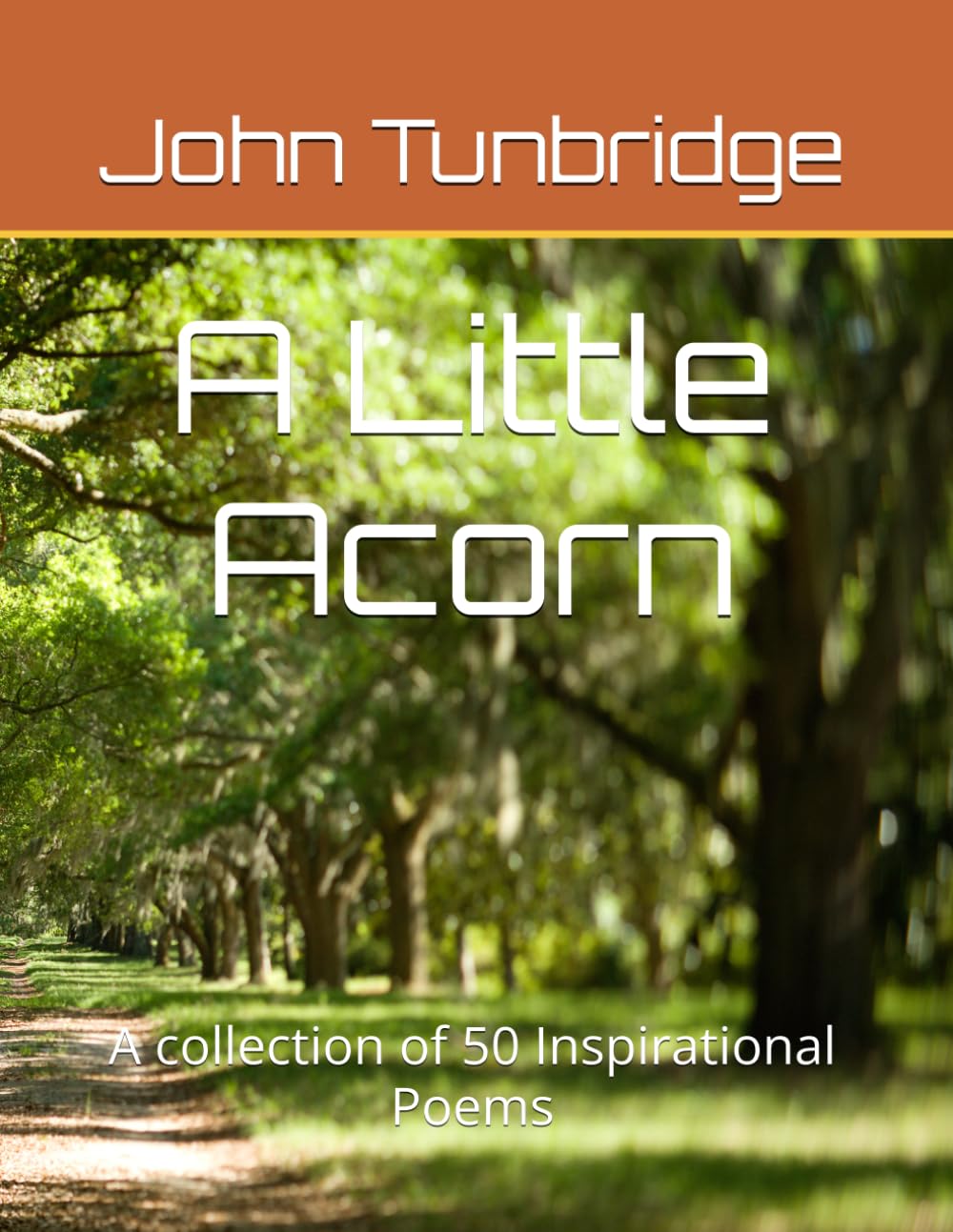 A Little Acorn: A collection of 50 Inspirational Poems
