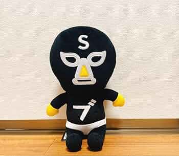 71FNUx45pqL._AC_UF350,