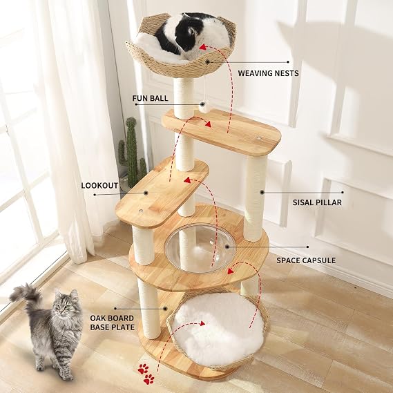 SHODMI Modern Cat Tree for Large Indoor Cats 61 in Rubber Wood Cat Tower