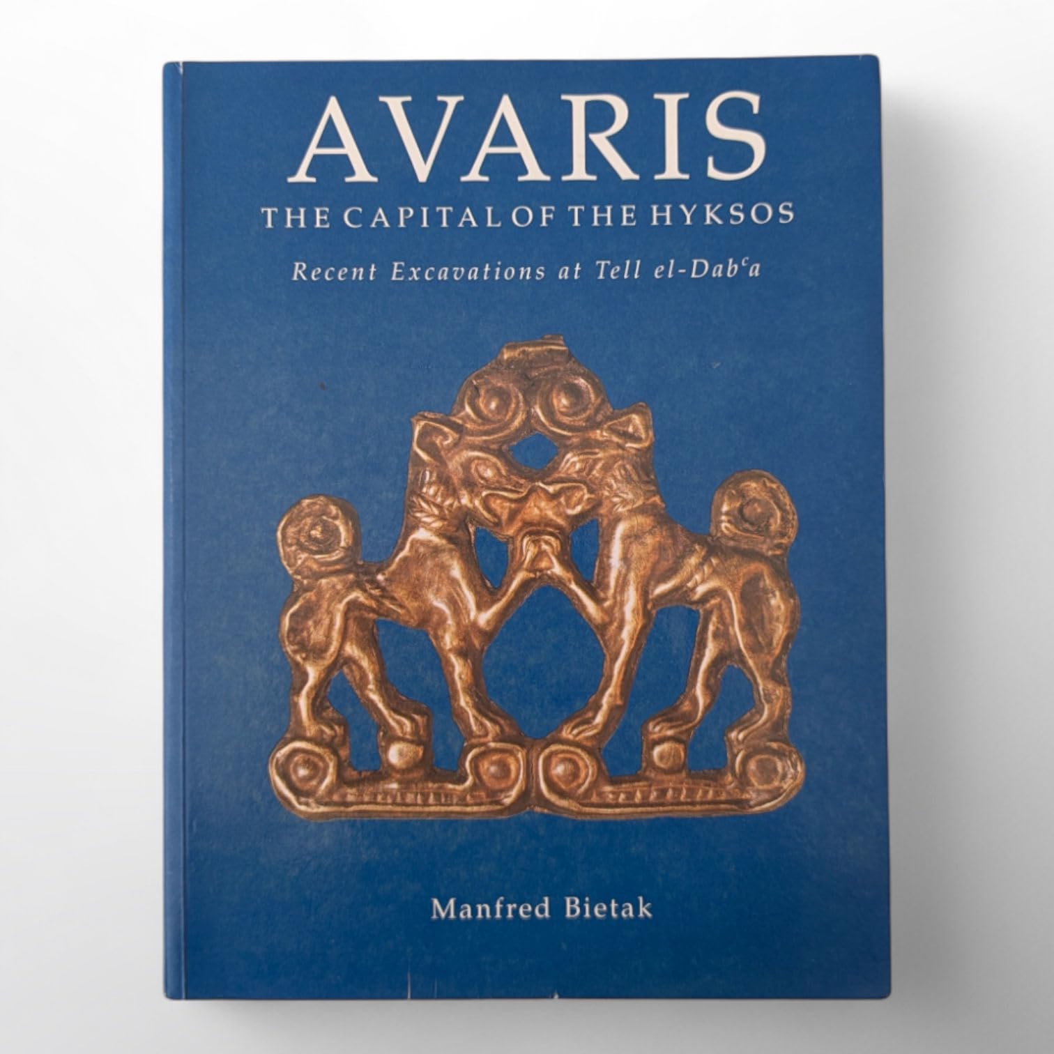 Buy Avaris: Capital of the Hyksos - Recent Excavations — BookShops.in