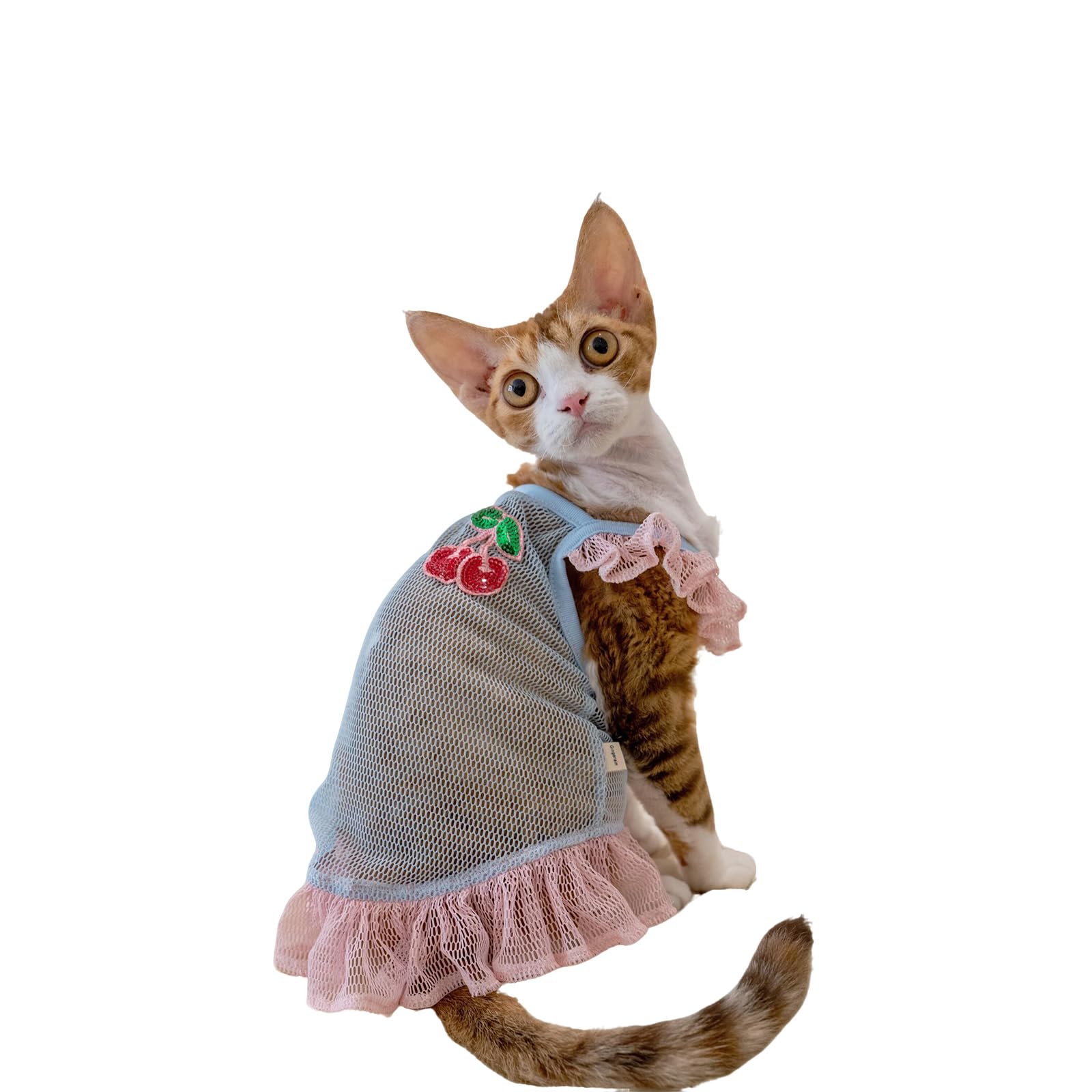 Débardeur en maille pour chat Sphynx et Devon Rex respirant anti-UV