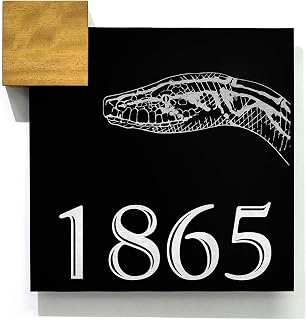 Modern Wall Hanging Sign - Black Aluminum (ACP) Fiber Laser Engraving - Snake Decor - Snake Lower - Snake Gift - Reptile Lover - Animal Sign