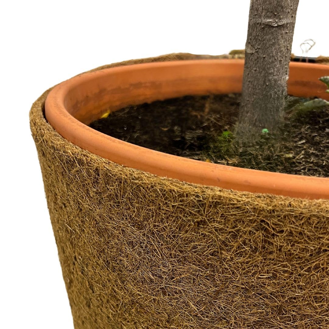 Florade® Tappetino in cocco – Protezione invernale per piante e piante in vaso, isolante e traspirante, 100% biologico, diverse misure, larghezza: 50 cm, lunghezza: 10 m