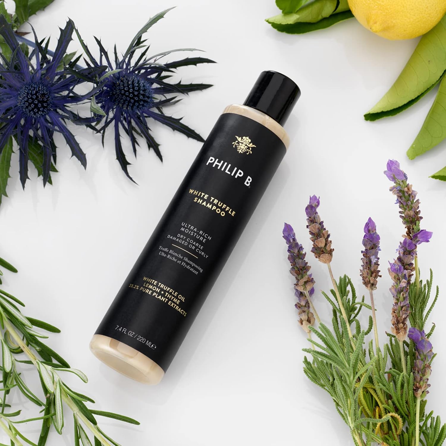 PHILIP B White Truffle Shampoo 7.4 oz. (220 ml) | Intensely Hydrating Shampoo, Moisturizes Coarse, Thick, Damaged Hair : Beauty & Personal Care