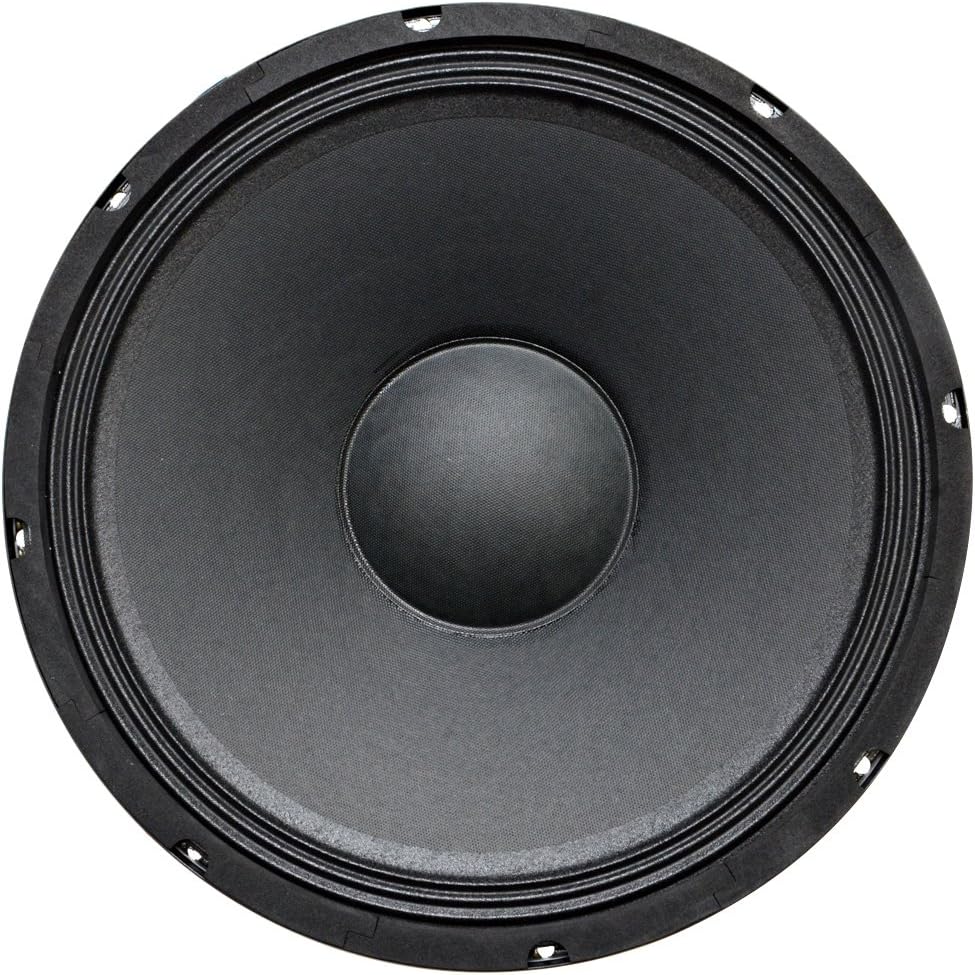 Seismic Audio SA-12MT PA Monitor 12
