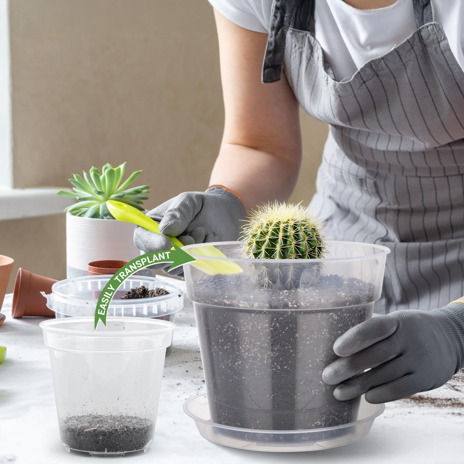 GREANER Lot de 10 pots de fleurs de 22,9 cm en plastique transparent avec soucoupes, pots de fleurs durables pour plantes d'intérieur, herbes, fleurs et cactus avec 10 étiquettes pour plantes