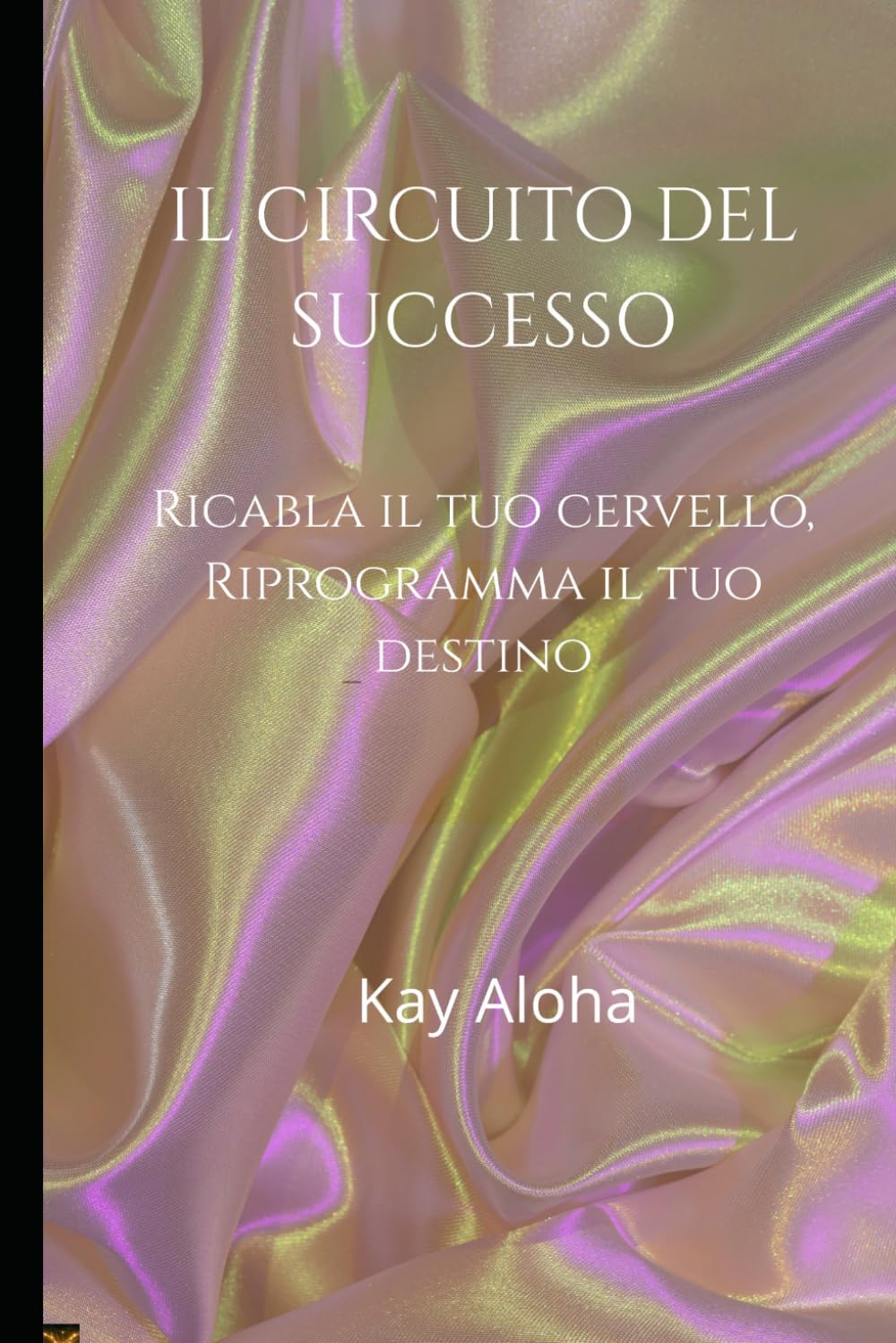 IL CIRCUITO DEL SUCCESSO: RICABLA IL TUO CERVELLO, RIPROGRAMMA IL TUO DESTINO