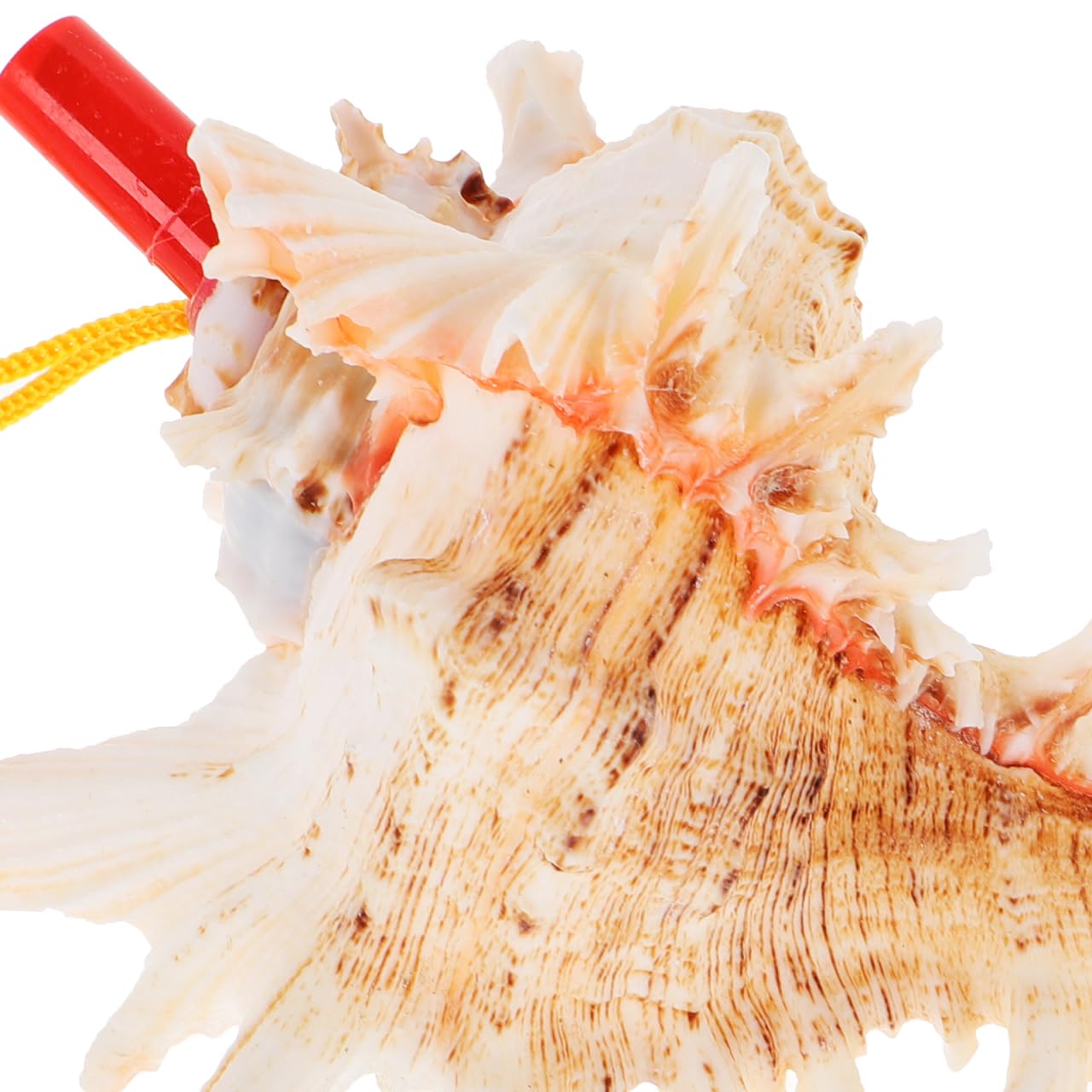 UPKOCH Cuerno Natural De Caracola De Mar 5.51 Pulgadas Silbato Instrumento Musical Versátil Para Niños Juguete De Viaje Con Sonido Melodioso Para Fiesta Y Decoración