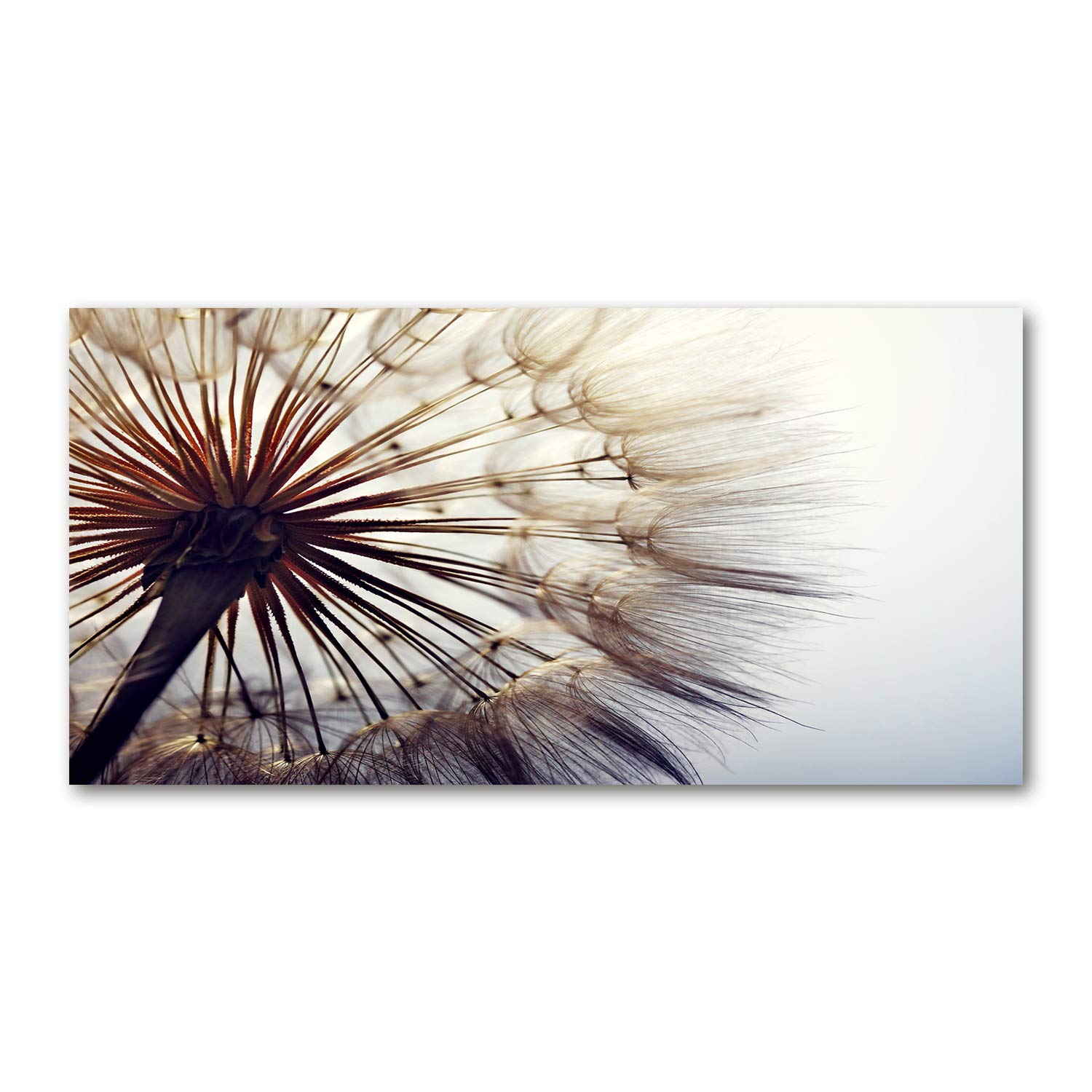 Tableau acrylique glass picture Tulup 120x60cm déco murale pour chambre moderne