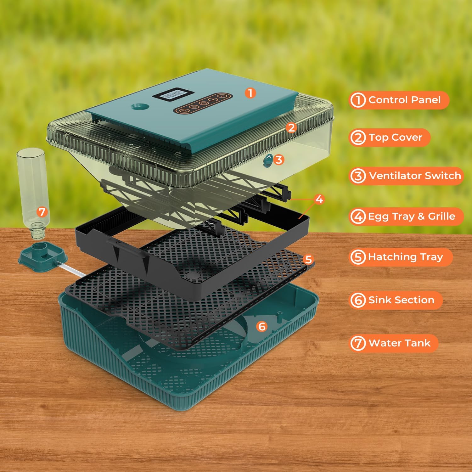 Automatic Egg Incubator for Hatching Eggs: Egg Incubator with Automatic Egg Turning and Humidity Control - 25Eggs Incubators with Candler for Chicken Duck Quails Goose Pigeon Turkey