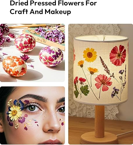 Vista 8 de Resiners - Flores secas, 100 piezas de flores prensadas para manualidades, color amarillo, flores secas naturales, kit de hojas secas
