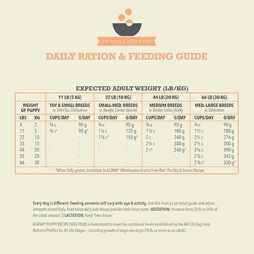 Miniatura 7 de ACANA Wholesome Grains - Receta para cachorros, alimento seco de alta calidad con alto contenido de proteínas, 4 libras