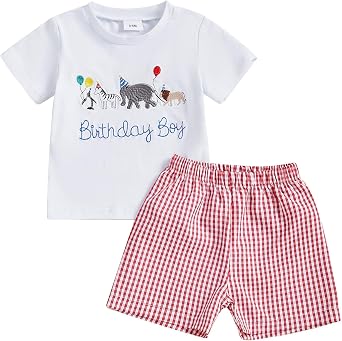 Toddler Boy Birthday Outfit Wild Animal Birthday Boy Embroidery T-shirt Plaid Shorts Set Baby Summer Clothes