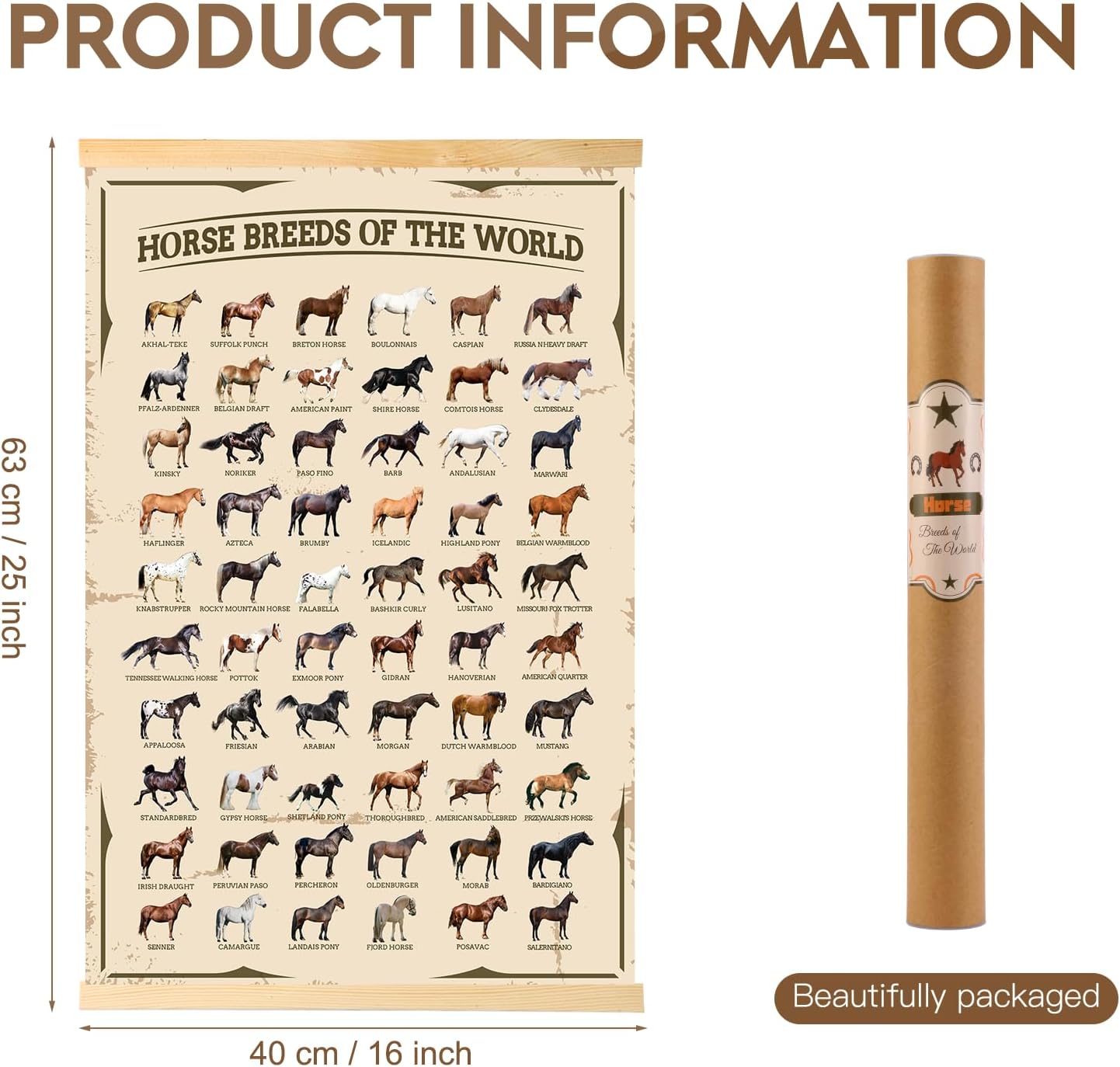 EIHFHIE Horse Gifts for Girls Horse Poster Horse Knowledge Horse Breeds of The World Poster Horse Pictures Wall Decor Gifts for Horse Lovers 16x25 In