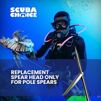 Scuba Choice 12 Stainless Steel Pole Spear Tip 8mm Female Single Barb Head Durable Replacement Spearfishing Tip for Cold Water & Ice Fishing (Thread Diameter: 14.2mm, line: 1.25mm)