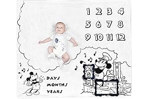 Baby Monthly Milestone Photo Blanket