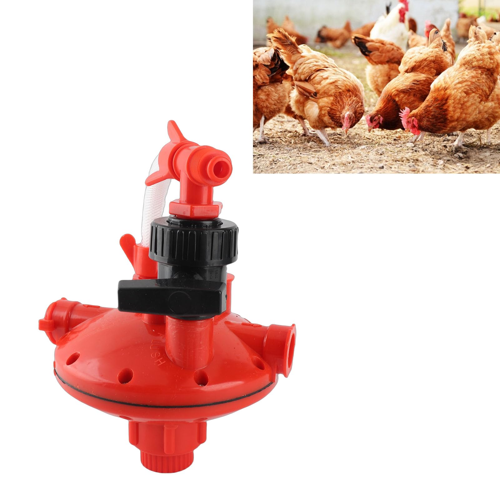 Regulador automático de línea de Agua para bebederos, 2 Unidades, válvula reguladora de presión para bebederos de Aves de Corral, válvula de Agua para bebederos, Reductor de (Válvula reguladora de