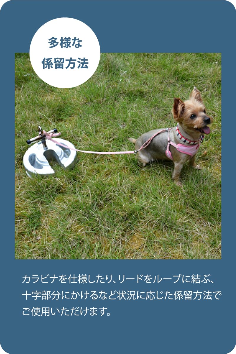 Amazon.co.jp: shinanotent 【 ドッグアンカー おもりdaワン】 鋳鉄製